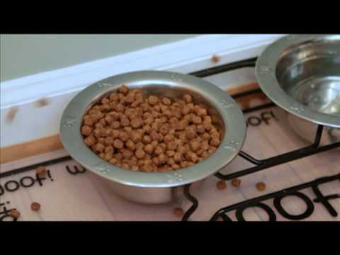 image-Is Royal Canin good for Yorkies?