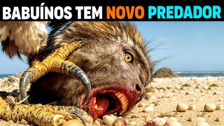 Soltar milhares de CRIATURAS que DECAPITAM BABUÍNOS na África é loucura!