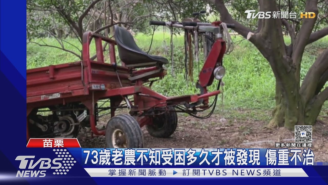 73歲果農施肥遇劫!搬運車夾困樹間 引擎狂轉捲地成坑