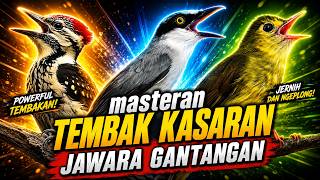 Download lagu MASTERAN TEMBAK KASARAN JINGJING PETULAK PELATUK BAWANG BRINJI RAMBUT TUNGGIR mp3 Download lagu MASTERAN TEMBAK KASARAN JINGJING PETULAK PELATUK BAWANG BRINJI RAMBUT TUNGGIR mp3