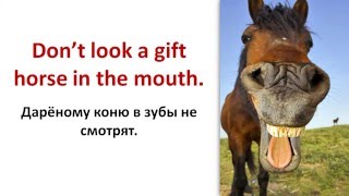 Смотреть онлайн Русские пословицы и поговорки на английском