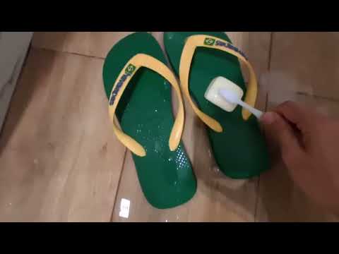 Vó, eu vim de Araguaína no Tocantins. Minha Terra Natal: da bacaba, do buriti, do murici, do cupuaçu