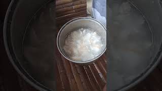 Download lagu rujak kelapa muda mp3