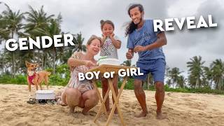GENDER REVEAL! Cutting the cake to show Baby Boy or Girl