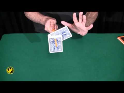 Rise (Dr. Martin Schwartz)