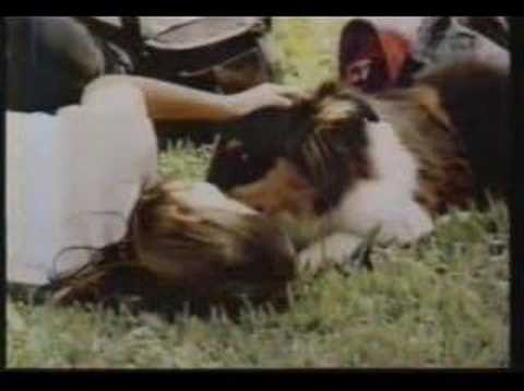 Intervalo Comercial do Domingão do Faustão