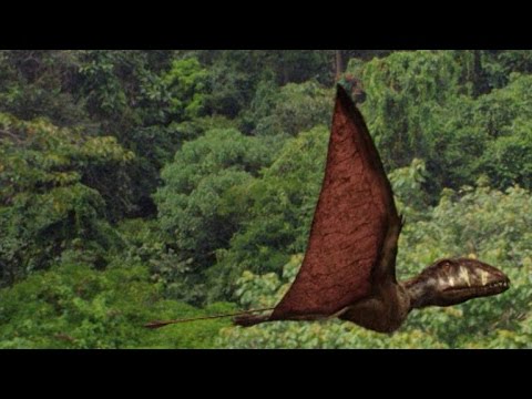 The Incredible Reptiles That Flew 200 Million Years Ago