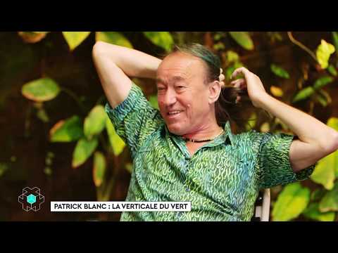 Patrick Blanc : La verticale du vert - La Case en + du 16/06 - CANAL+