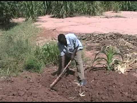 PINY ORUMO-NATHANIEL NYAGOL