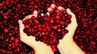 5 Incredible Reasons To Eat Cranberries Every Day