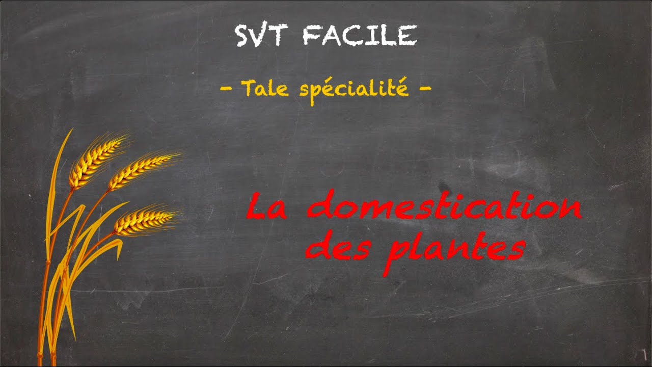 SVT FACILE - Tale spé. - La domestication des plantes
