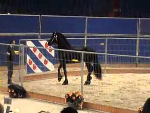 Thomas van de Vogelenzang