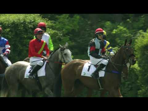 2. dostih - Cena mezinárodního festivalu Šachu a her Czech Open - dostihy Pardubice 25. 5. 2019