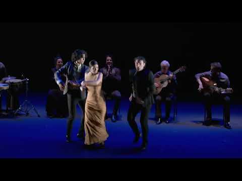 Paco Peña Flamenco Dance Company: Solera | Dance | Brighton Dome
