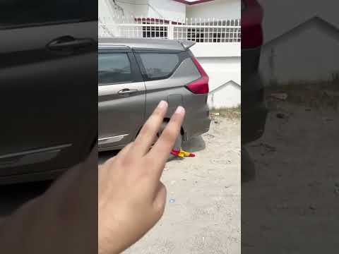 Pets gps tracking system