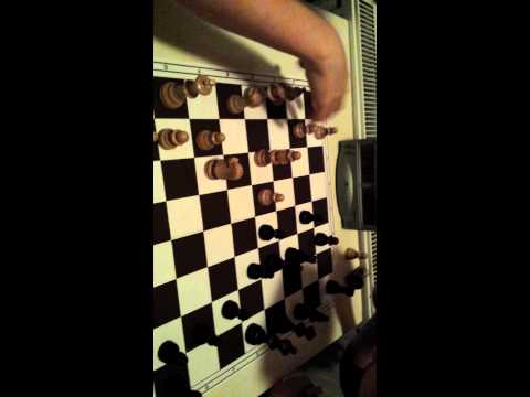 Bullet Roven Vogel (2399) vs. Mr.Wong (1989)