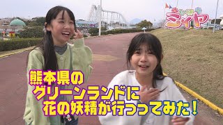熊本県のグリーンランドに行ってきました♪ 花の妖精たちは巨大ジェットコースターに乗れるのかな？ どんな旅になるのか！お楽しみくださ～い♪