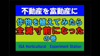 ネットで土地を買ってみた　不動産を富動産に⑬　作物を植えたら絶滅寸前になったの巻
