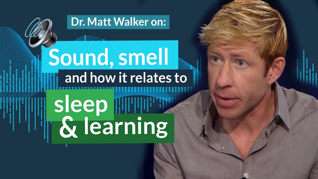 How sound and smell are tied to learning, and the connection to sleep | Matthew Walker