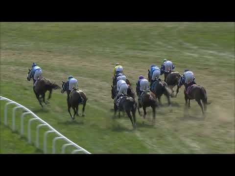 KY Downs: $750K Ladies Turf (G3) head-on 9.11.21: Princess Grace