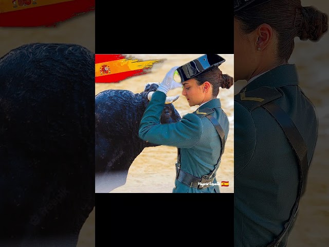 Vídeo relacionado con Toro - I Love Spain Imán para Nevera, Toro, Escudos, Bandera de España, Recuerdo