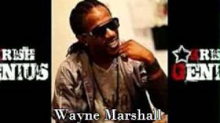 Wayne Marshall It's Party Time