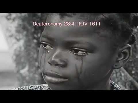 Farello [Levi] - Na daai [ Official video ]