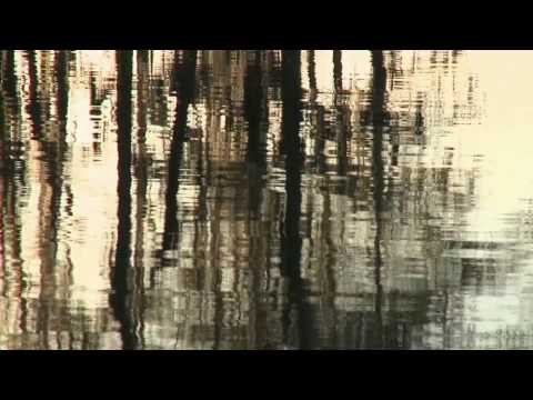 FOT 3 Episode 6: Chitimacha