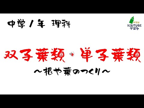 園芸 線形葉状子葉