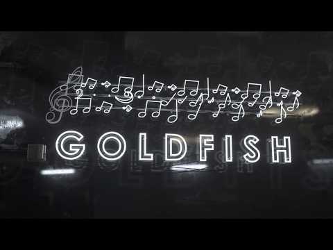 Lyric Video: Colours and Lights by GoldFish and Cat Dealers