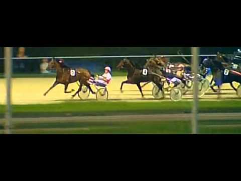 CRITERIUM der Vierjährigen_Stanislawski 1:12,4_Dominik Locqueneux