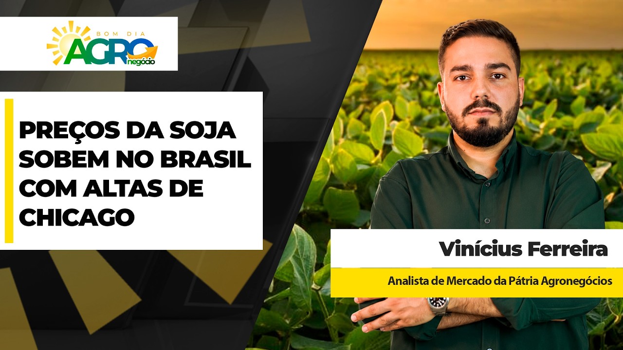 Preços da soja sobem no Brasil com altas em Chicago; oportunidades melhoram para a safra 26/27