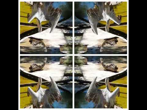 naturtrifftkunst          Pelikan