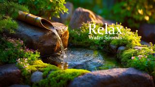Healing Music for Mind and Body Rest 🌳 Stress Relief | Calm Relaxing Piano Music