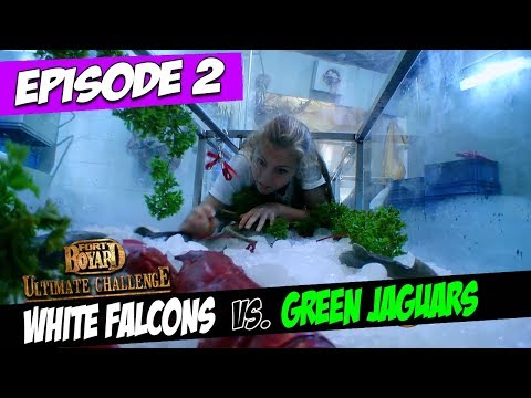 White Falcons Vs. Green Jaguars | Series 5, Episode 2 | Fort Boyard: Ultimate Challenge