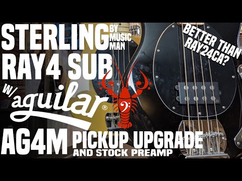 Sterling Ray4 SUB w/ Aguilar AG4M Pickup + STOCK Preamp! EZ Ray Upgrade!- LowEndLobster Fresh Look