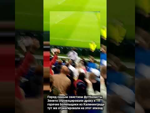 Балтика-Зенит (стычка на поле) #балтика #зенит #болельщики #кубокроссии #матчтв #калининград