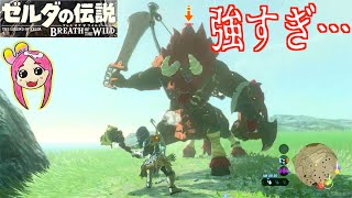 【ゼルダの伝説】初めての獣人ライネル！！女子実況