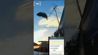 Download lagu story'wa 30 detik || literasi Oh Angin Bisikan Padanya ||#Short mp3