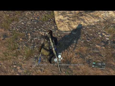 METAL GEAR SOLID V: THE PHANTOM PAIN Catching The Rare Blue Bird