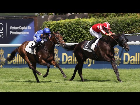 München: Grosser Dallmayr-Preis 2024 Sieger: Calif