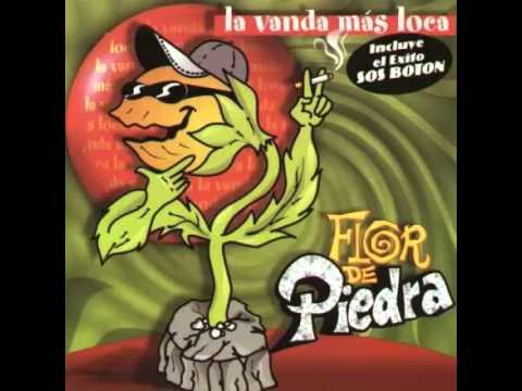 La jarra loca - Flor de piedra
