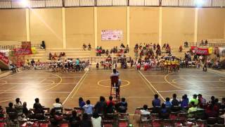 preview picture of video 'Final Turnamen Bola Voli Putri ANANTA CUP 2 antara Vocus Bekasi VS Mitra Kencana Bank Jateng PART 5'