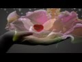 Amel Larrieux  ''Magic''  ( Video)