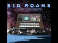 SID ROAMS - Budapest Synth Orchestra