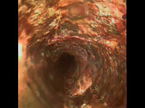 3124 Jacqueline Lane