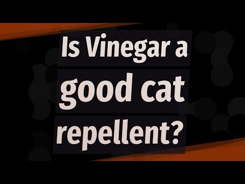 Is Vinegar a good cat repellent?