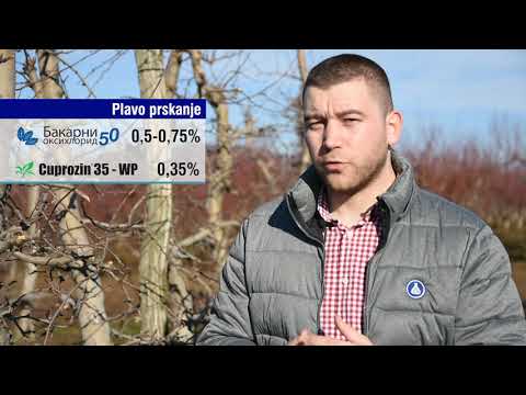 Prolećno plavo prskanje | GALENIKA - FITOFARMACIJA