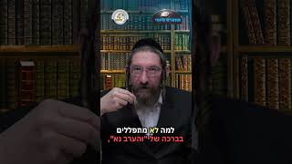 💎הווארט היומי - והערב נא, ראש חודש שבט תשפ"ו | הרב ישראל דוד כהן (ארגון קול הלשון) - התמונה מוצגת ישירות מתוך אתר האינטרנט יוטיוב. זכויות היוצרים בתמונה שייכות ליוצרה. קישור קרדיט למקור התוכן נמצא בתוך דף הסרטון