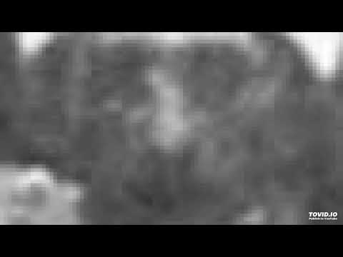 28. A MINHA MÃE ME CHAMOU - João Pereira